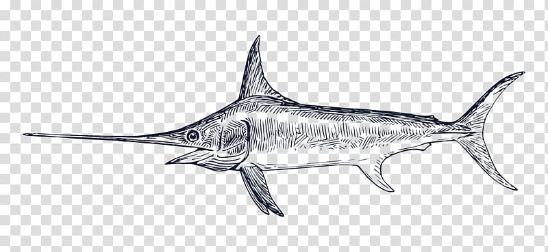 Swordfish Drawing Billfish , others transparent background PNG clipart