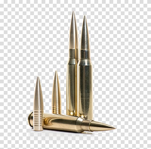 magnum sniper rifle bullet