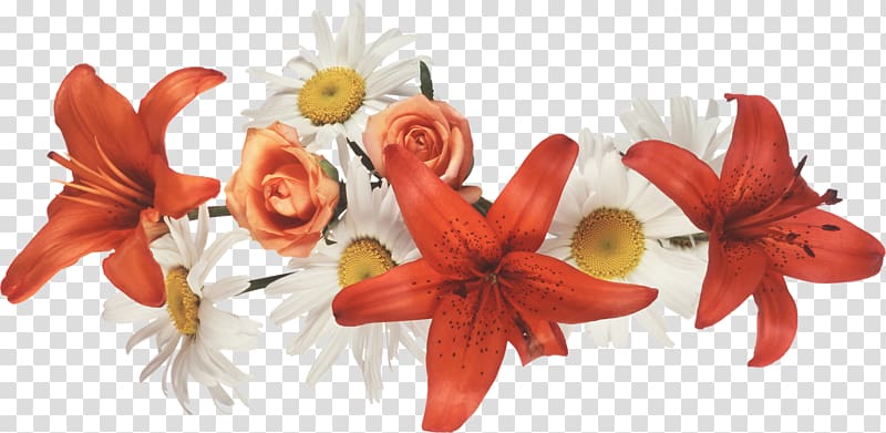 red and white flowers artwork, Flower Crown Desktop Rendering, FLORES transparent background PNG clipart