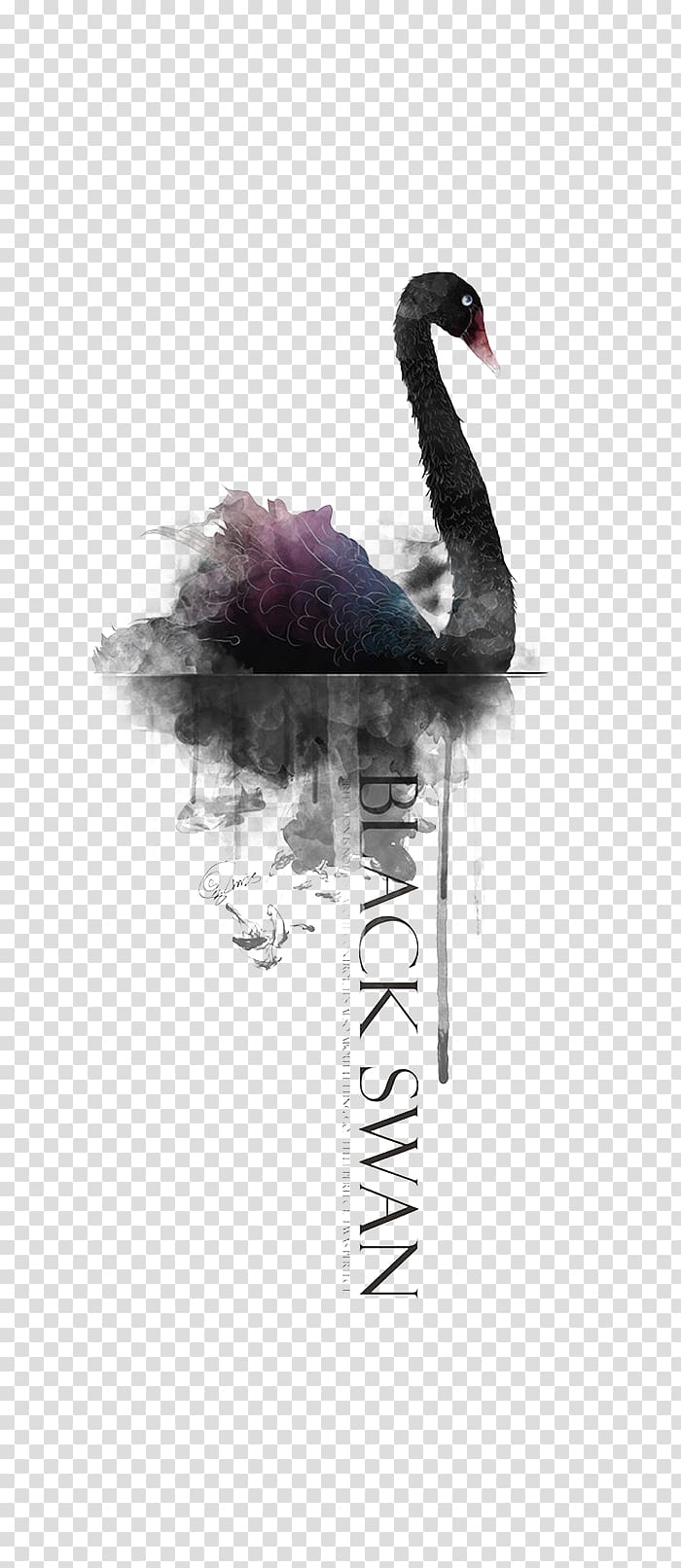 Black swan Oil painting Poster, Ink Black Swan transparent background PNG clipart