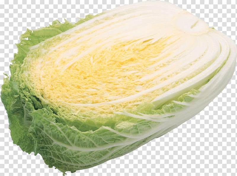 Napa cabbage Vegetable Food Cabbage roll Wrap, Salad transparent background PNG clipart