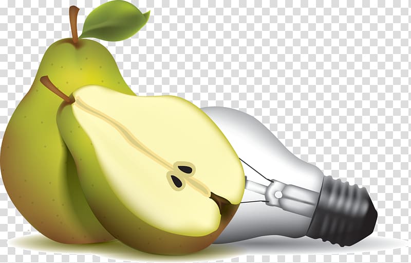 Bosc pear Drawing , pear transparent background PNG clipart