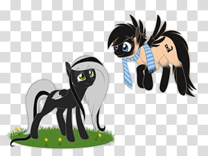 Cat Horse Dog , Cat transparent background PNG clipart thumbnail