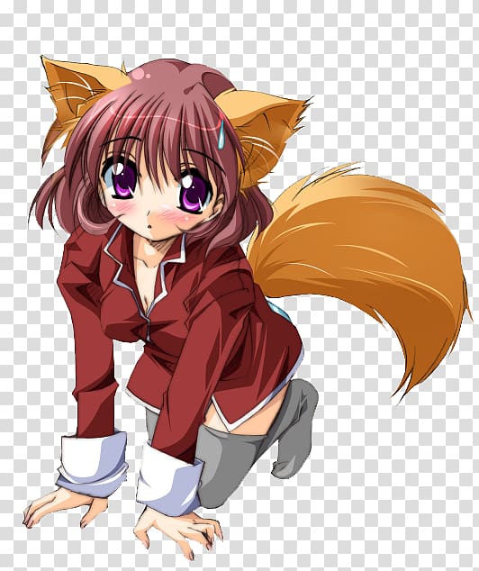 Kitsune Animal Female Catgirl, Easy To Edit transparent background PNG clipart