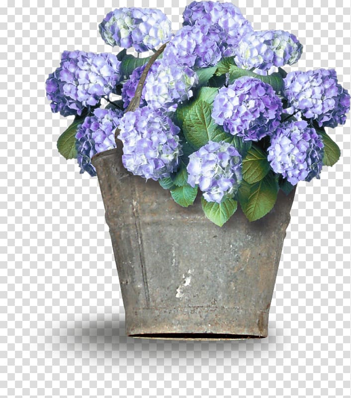Hydrangea Cut flowers Floral design Flowerpot, flower transparent background PNG clipart