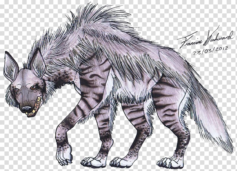 Striped hyena Drawing Spotted hyena, Hyena transparent background PNG clipart