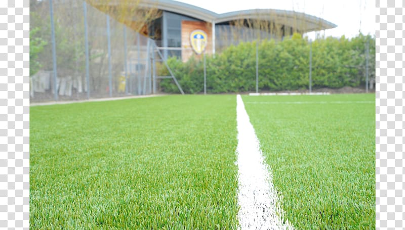 Thorp Arch Leeds United F.C. Reserves and Youth Team Artificial turf Football, others transparent background PNG clipart