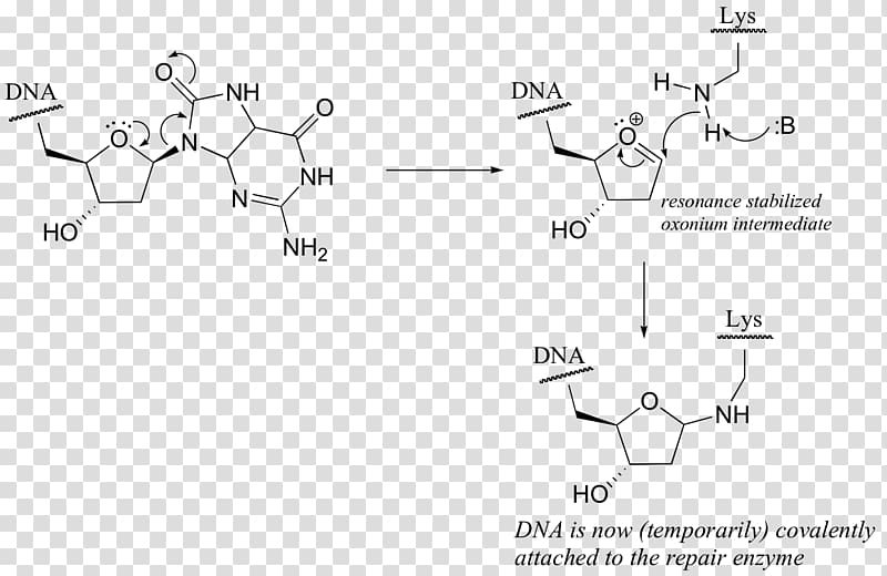 Francium Atom Diagram Technology, Art Of Writing Reasonable Organic Reaction Mechani transparent background PNG clipart