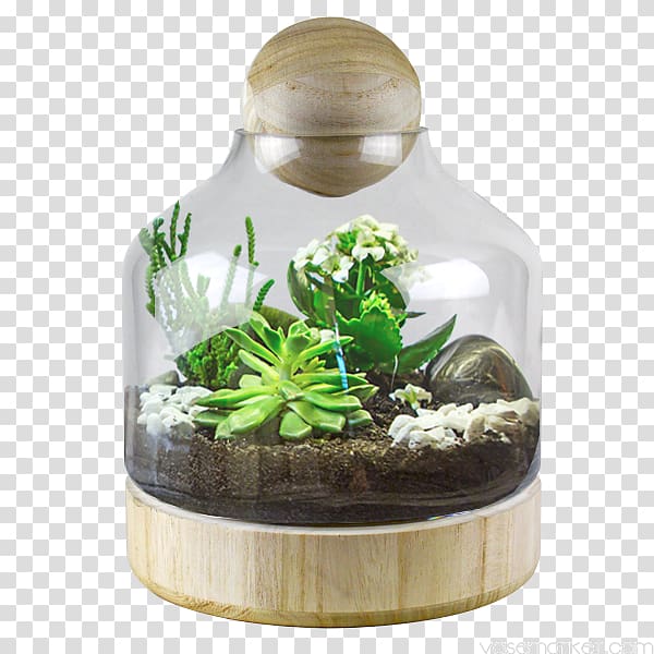 Terrarium Glass Bell jar Cloche Container, glass transparent background PNG clipart