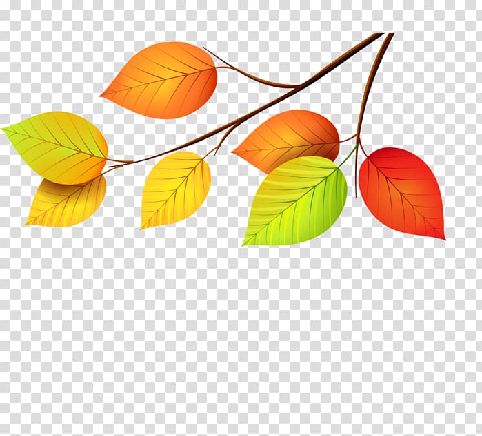 Leaf , Leaf transparent background PNG clipart