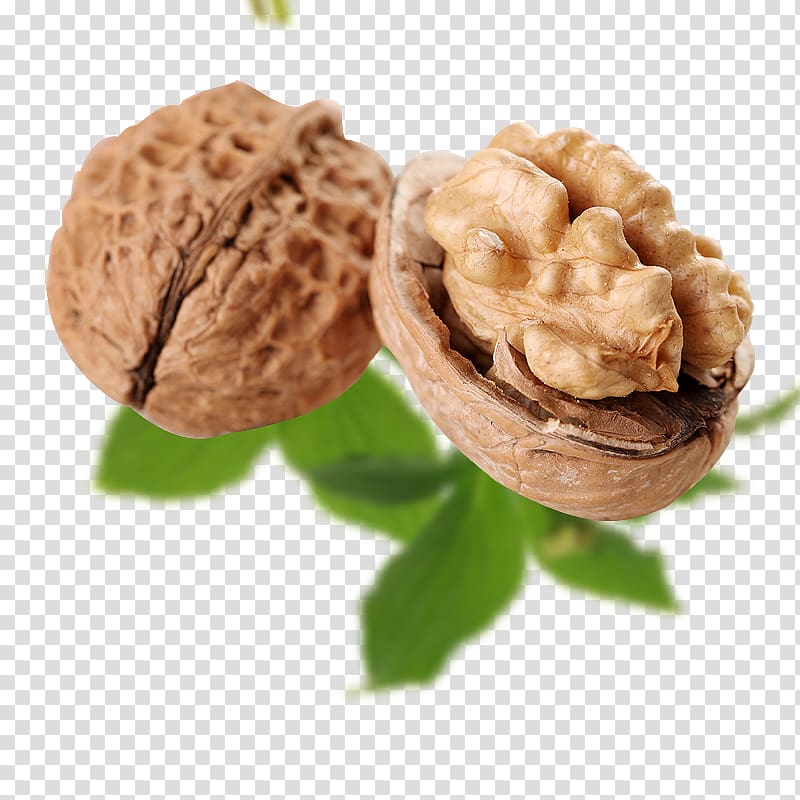 Walnut Food, walnut transparent background PNG clipart