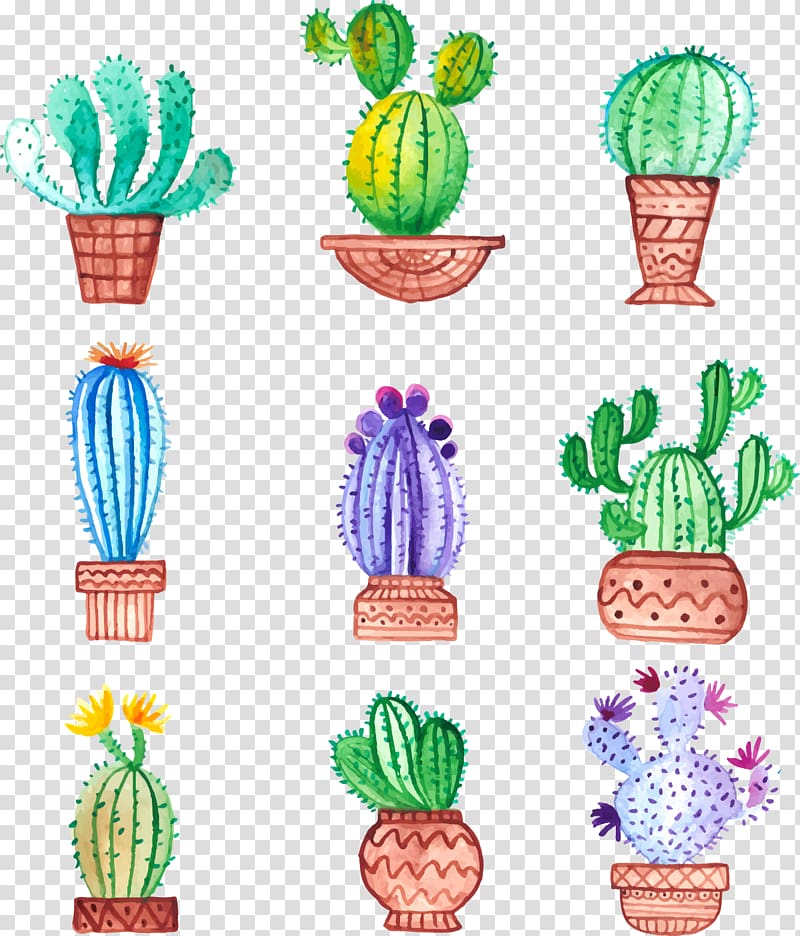 nine cactus plant illustration, Cactaceae Watercolor painting Drawing, Hand-painted potted cactus transparent background PNG clipart