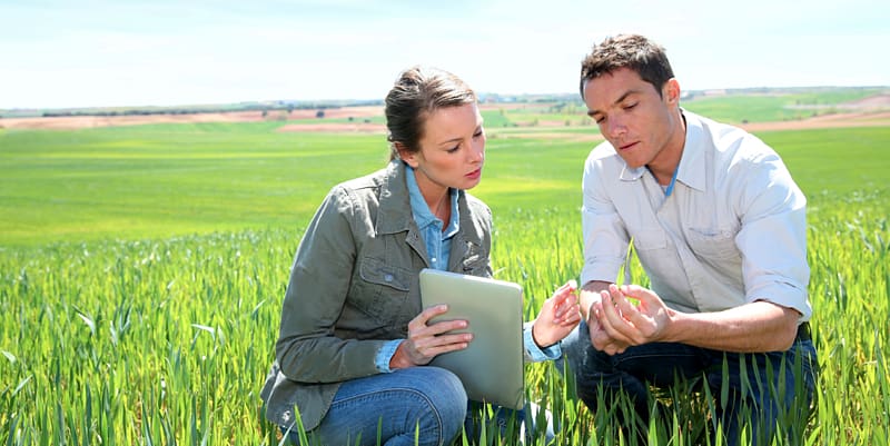 Agriculture Agronomy Agricultural science Crop Organization, agriculture transparent background PNG clipart