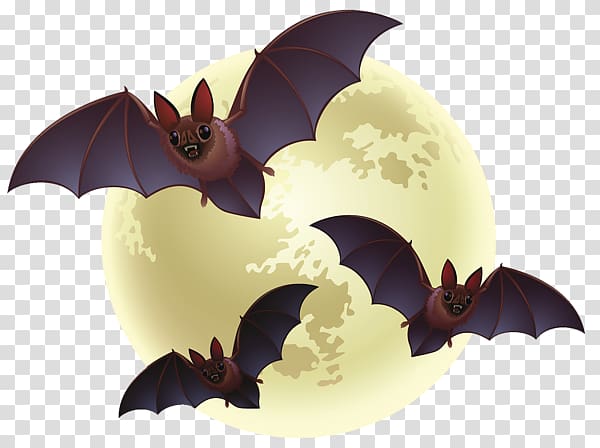 Halloween Bat , Creative Halloween bat transparent background PNG clipart