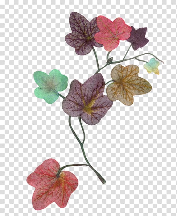 Bindweeds Petal Ivy Floral design, others transparent background PNG clipart