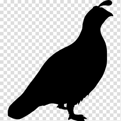 Quail Bird Columbidae Computer Icons, Quail transparent background PNG clipart