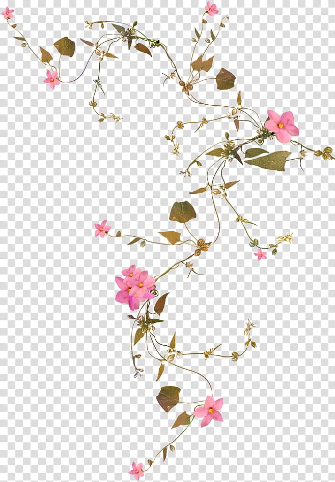 Flower vine, pink flower vine transparent background PNG clipart