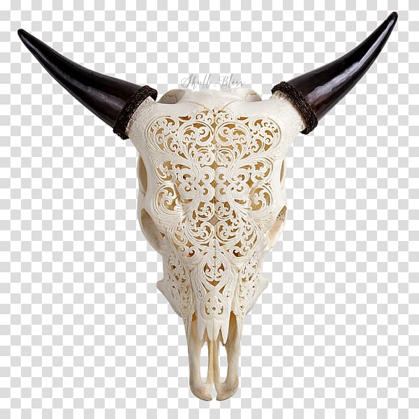 Texas Longhorn Skull English Longhorn Ox, skull transparent background PNG clipart