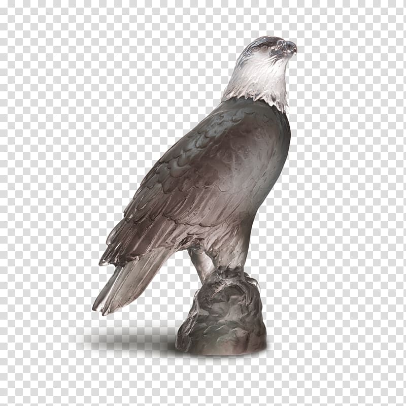 Bald Eagle Daum Sculpture Cristallerie, eagle transparent background PNG clipart