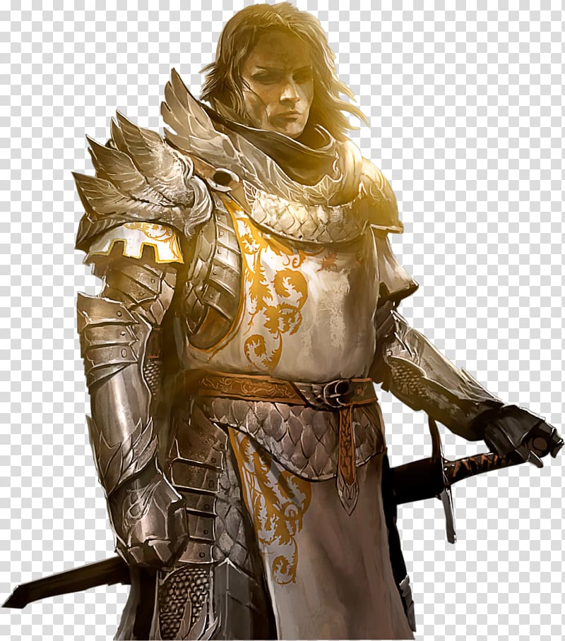 knight illustration, Guild Wars 2 World of Warcraft Video game ArenaNet, Warrior transparent background PNG clipart