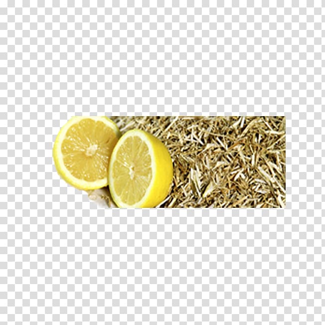 Citronella oil Lemon Sweet itch Horse Essential oil, lemon transparent background PNG clipart