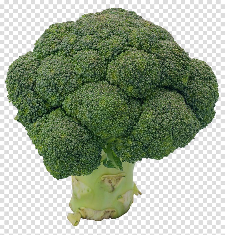 Broccoli Cauliflower Collard greens Rapini, broccoli transparent background PNG clipart