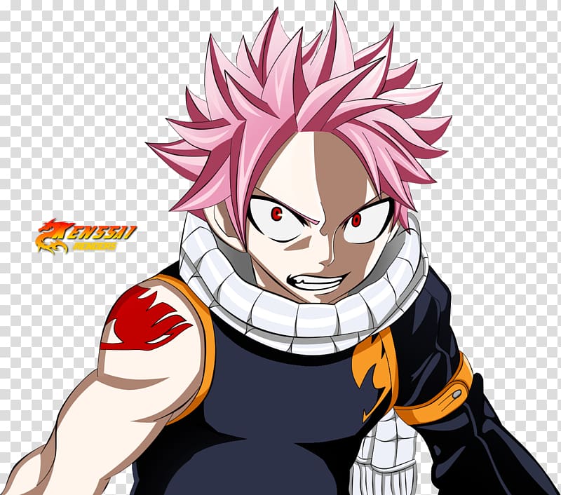 Natsu Dragneel Erza Scarlet Gray Fullbuster Fairy Tail Elfman Strauss, fairy tail transparent background PNG clipart