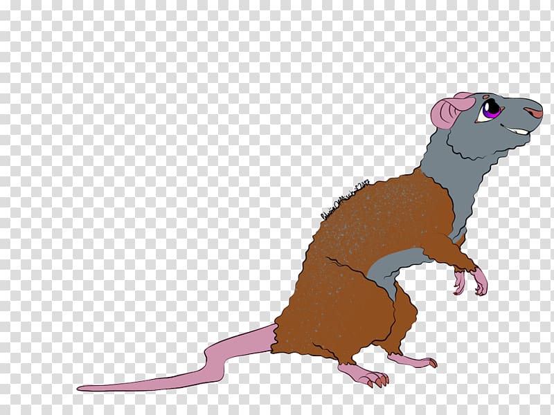 Ferret Mouse Rat Cat Rodent, Rat & Mouse transparent background PNG clipart