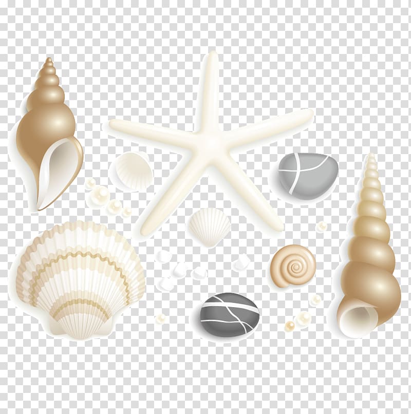 white seashell art, Seashell Starfish Drawing , Starfish and shells transparent background PNG clipart