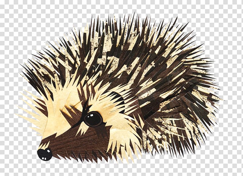 European Hedgehog Animal Drawing, hedgehog transparent background PNG clipart