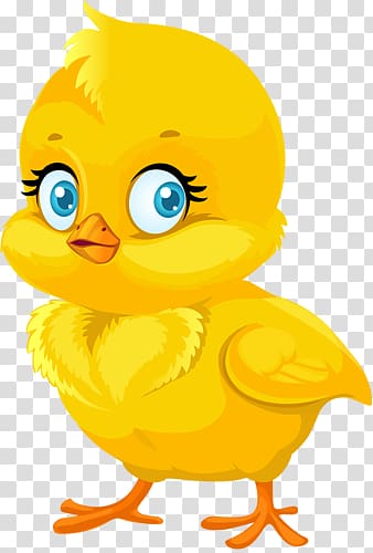 chick transparent background PNG clipart