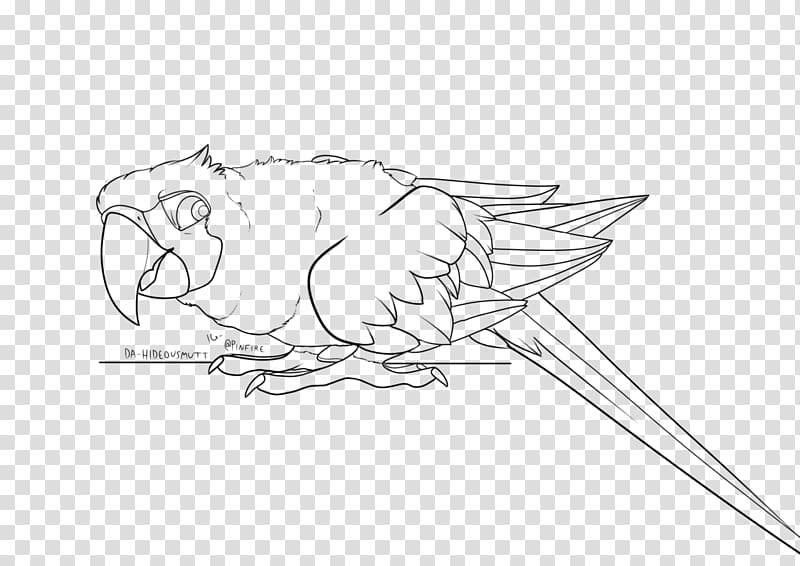 Beak Macaw Sketch, Military Macaw transparent background PNG clipart
