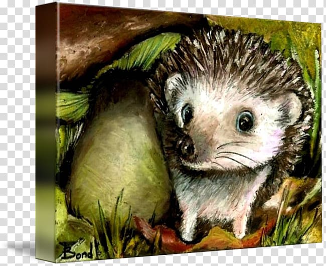Domesticated hedgehog Common opossum Porcupine Gallery wrap, hedgehog transparent background PNG clipart