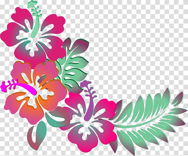 pink and orange hibiscus flowers border art, Hawaiian hibiscus Shoeblackplant Flower , watercolor tropical flowers transparent background PNG clipart