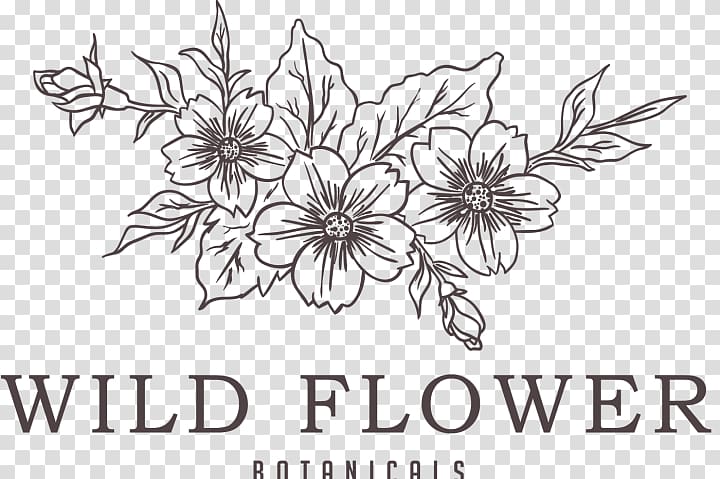 Paper graphics Drawing Floral design, Coffee transparent background PNG clipart