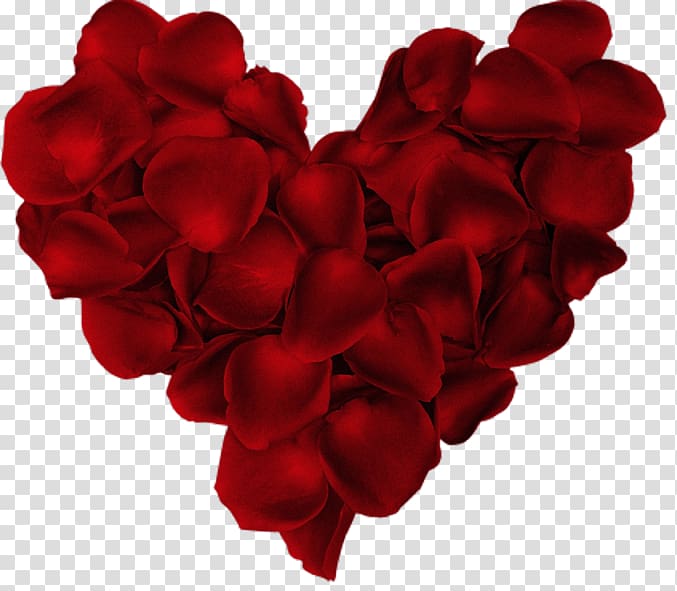 Valentine's Day Love Dwynwen Romance Dia dos Namorados, valentine's day transparent background PNG clipart