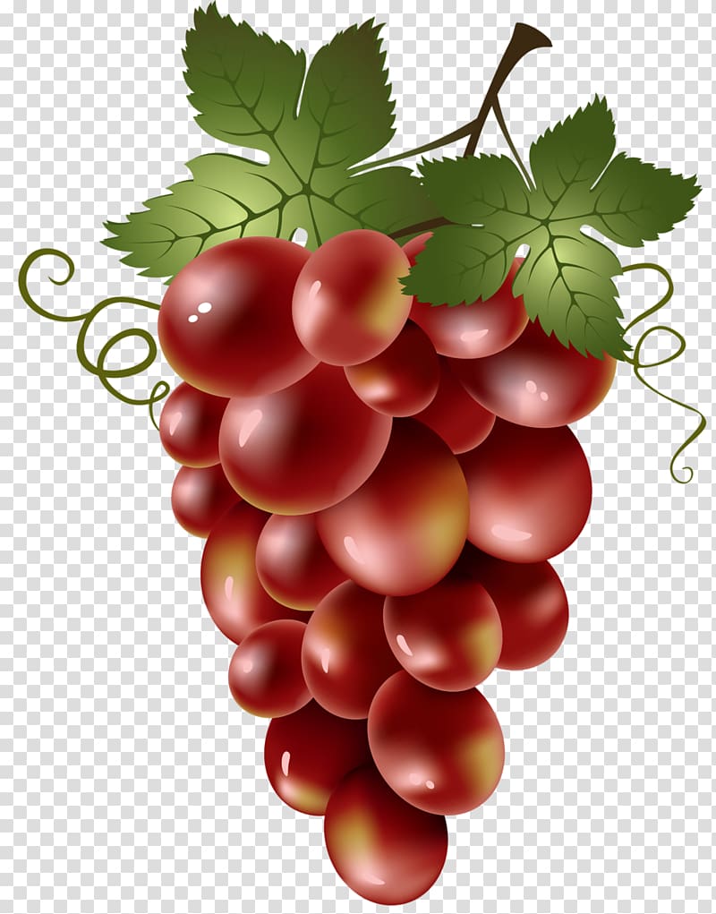 Red Wine Common Grape Vine , Grapes transparent background PNG clipart