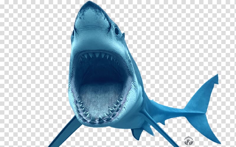 Great white shark Bruce Tiger shark , others transparent background PNG clipart