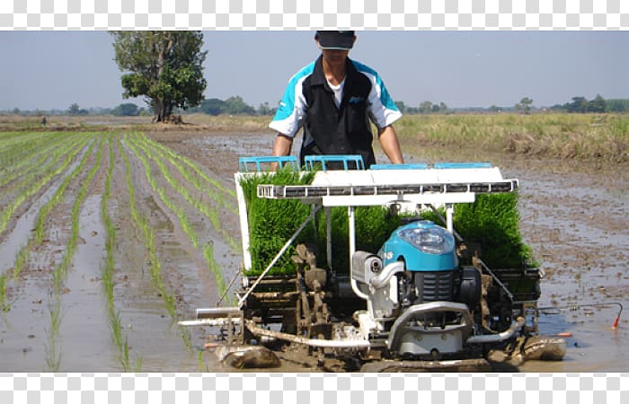 Kubota Corporation Tractor Machine Natural gas vehicle Cost, Rice Transplanter transparent background PNG clipart