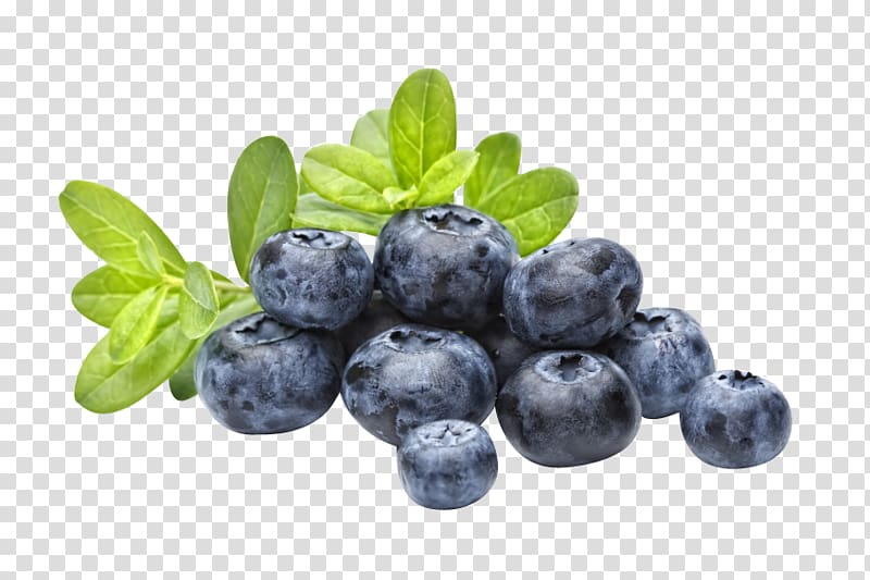 Blueberries transparent background PNG clipart