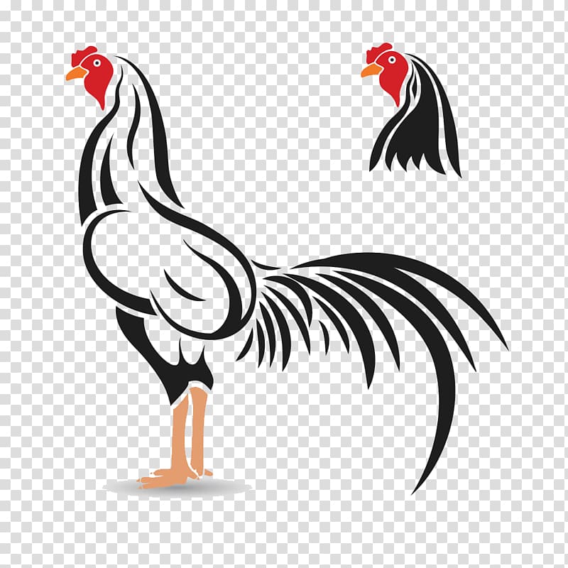 rooster , Cockfight Rooster Illustration, Black chicken transparent background PNG clipart