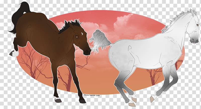 Mustang Foal Pony Stallion Mare, mustang transparent background PNG clipart