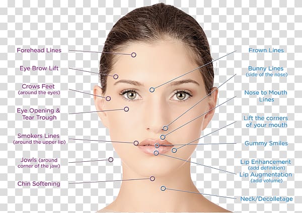 Facial Surgery Aesthetics Rhytidectomy Aesthetic medicine, aesthetics cosmetics transparent background PNG clipart