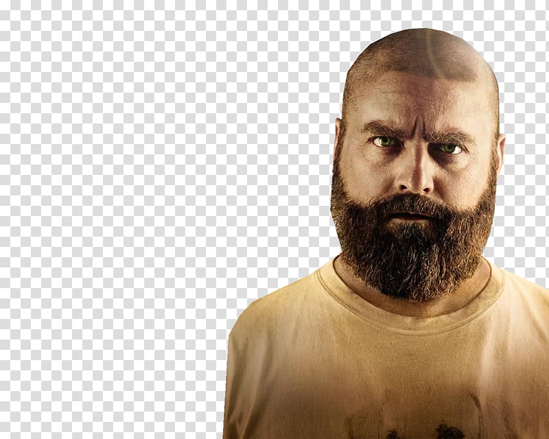 Zach Galifianakis The Hangover Alan Stu Film, others transparent background PNG clipart