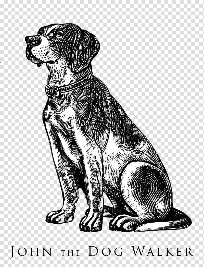 Beagle Bulldog Puppy Pointer Pet sitting, labrador transparent background PNG clipart