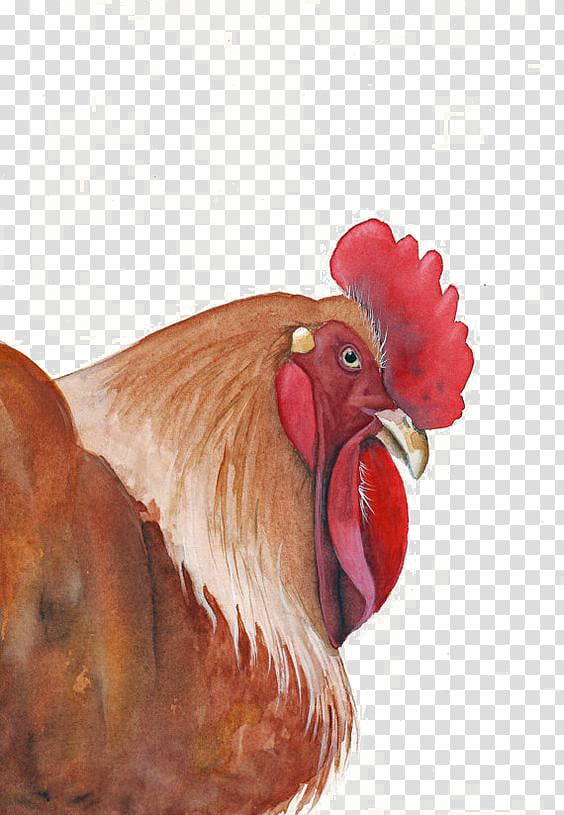 Rooster Chicken Watercolor painting Art, cock transparent background PNG clipart