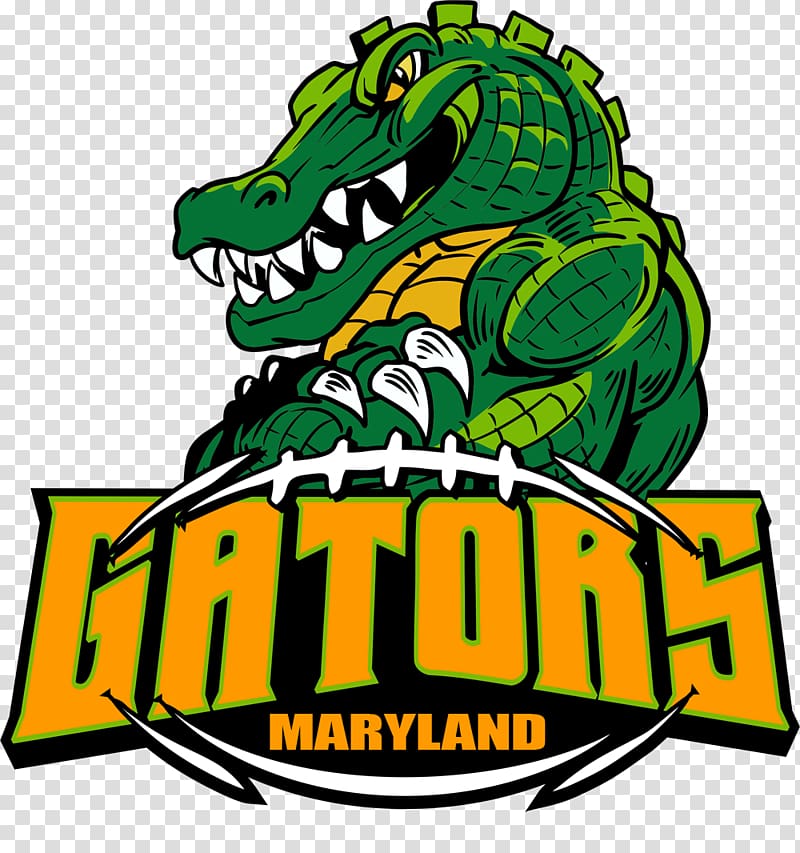 Florida Gators football Alligator University of Florida Logo Mascot, alligator transparent background PNG clipart