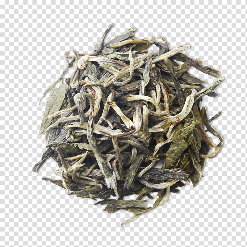 White tea Dianhong Bai Mudan Nilgiri tea, tea transparent background PNG clipart