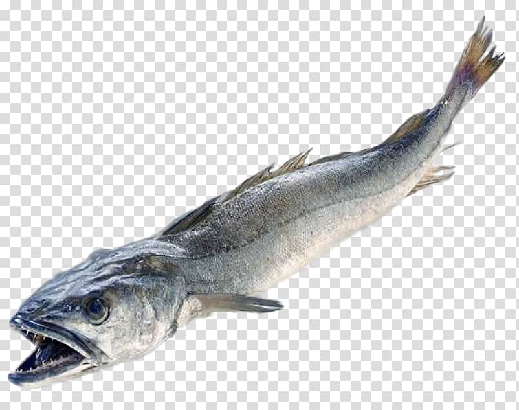 Italian cuisine Merluccius merluccius Angler Fish Hake, fish transparent background PNG clipart