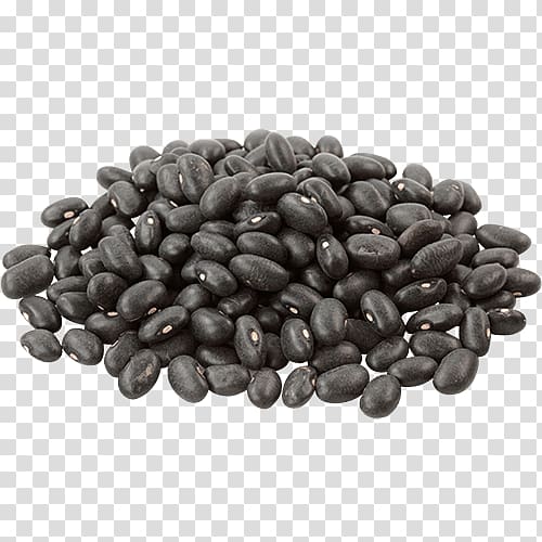 Black turtle bean Organic food Velvet bean Cooking, black beans transparent background PNG clipart